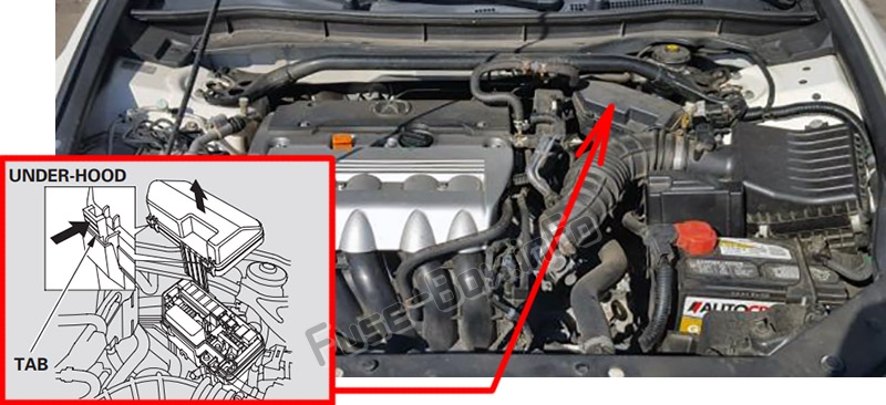Sigortaların motor bölmesindeki yeri: Acura TSX (CU2; 2009-2014)