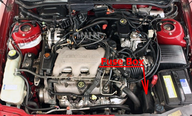 Sigortaların motor bölmesindeki yeri: Buick Skylark (1996, 1997, 1998)