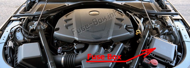 Sigortaların motor bölmesindeki yeri: Cadillac CT6 (2016-2019- ..)