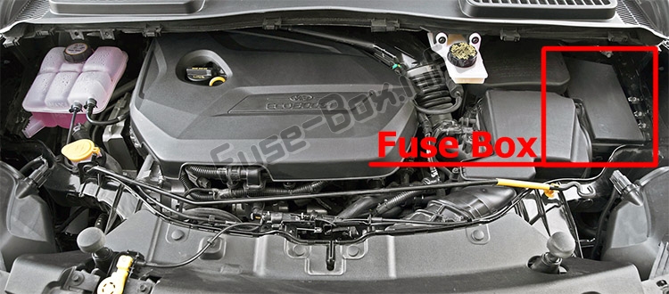 Sigortaların motor bölmesindeki yeri: Ford Escape (2013-2019)