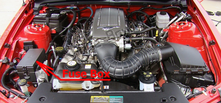 Sigortaların motor bölmesindeki yeri: Ford Mustang (2005-2009)