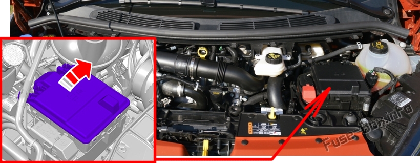 Sigortaların motor bölmesindeki yeri: Ford Transit Custom (2019, 2020- ..) 2.0L ve PHEV