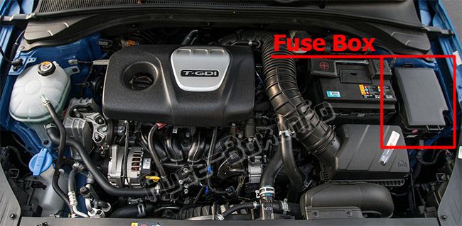 Sigortaların motor bölmesindeki yeri: Hyundai Elantra GT (2018, 2019)