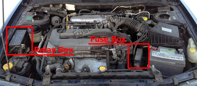 Sigortaların motor bölmesindeki yeri: Infiniti G20 (1998-2002)