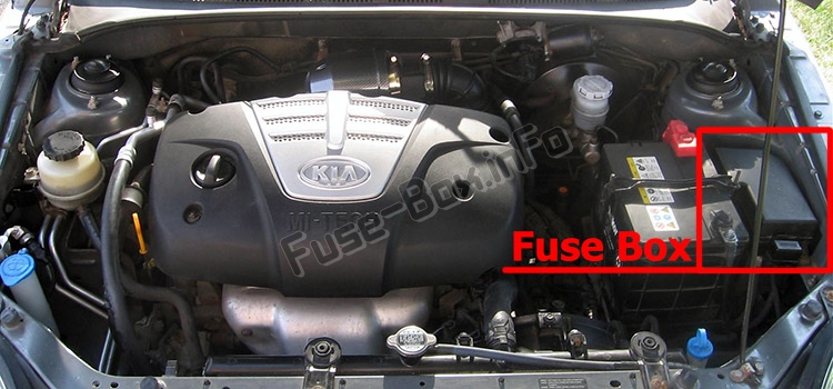 Sigortaların motor bölmesindeki yeri: KIA Rio (DC; 2000-2005)
