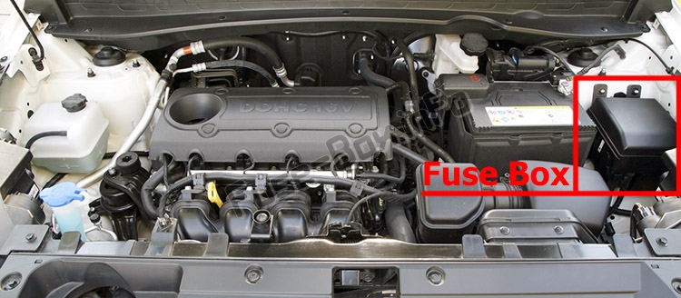 Sigortaların motor bölmesindeki yeri: KIA Sportage (SL; 2011-2015)