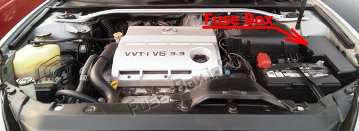 Sigortaların motor bölmesindeki yeri: Lexus ES300 / ES330 (XV30; 2001-2006)