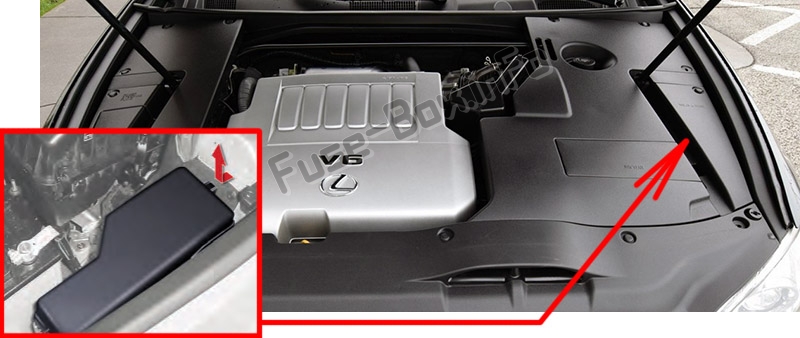 Sigortaların motor bölmesindeki yeri: Lexus ES350 (XV40 / GSV40; 2007-2012)