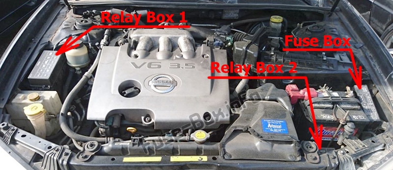 Sigortaların motor bölmesindeki yeri: Nissan Maxima (1999-2003)