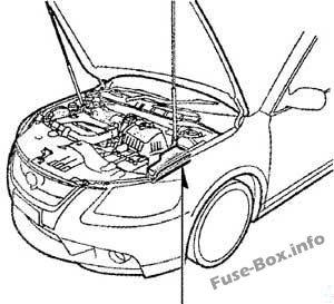 Sigortaların motor bölmesindeki yeri: Toyota Aurion (2006-2012)