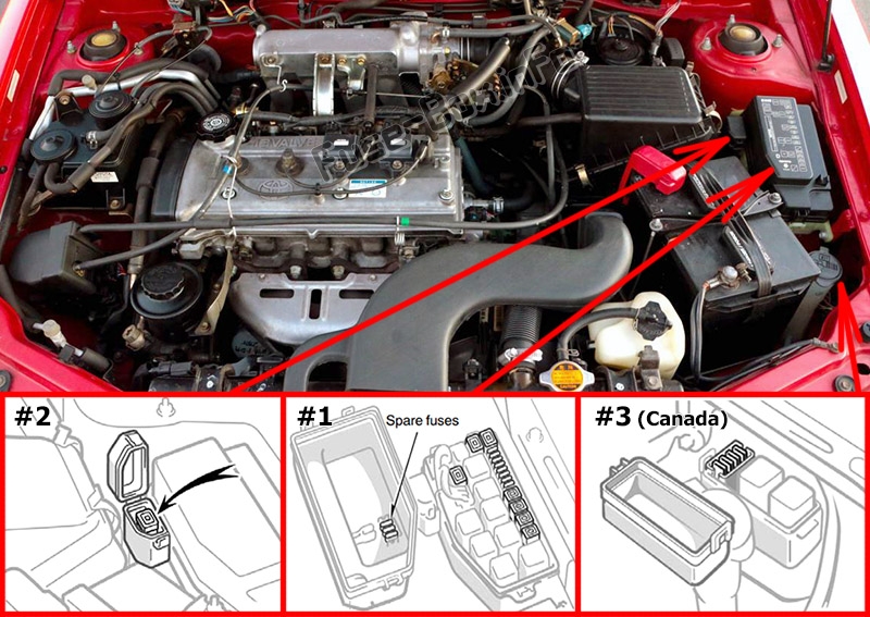 Sigortaların motor bölmesindeki yeri: Toyota Paseo (L50; 1995-1999)